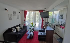 Departamento Condominio Parque Pucón